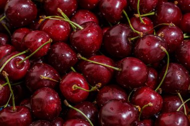 Kiraz rengi arka plan. Yukarıdan çekilen parlak kırmızı kirazlara yakın çekim. Damlalı kiraz. Gıda arkaplanı.