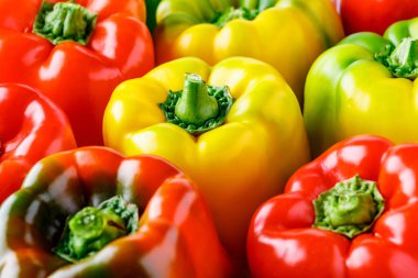 Renkli dolmalık biberler. Kırmızı ve sarı dolmalık biberleri kapatın. Ayrıca tatlı biber, karabiber ya da biber olarak da bilinir.