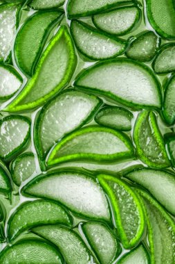 Aloe Vera yakın plan. aloe vera dilim üst görünüm dokusu arka plan. Aloevera bitkisi, doğal organik yenilenme kozmetikleri, alternatif ilaçlar.