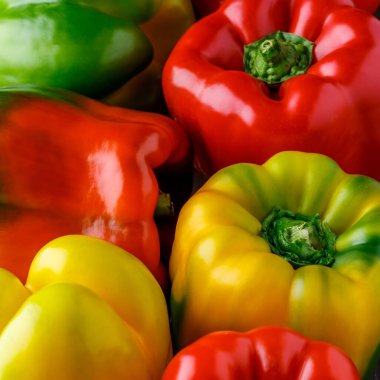 Renkli dolmalık biberler. Kırmızı ve sarı dolmalık biberleri kapatın. Ayrıca tatlı biber, karabiber ya da biber olarak da bilinir.