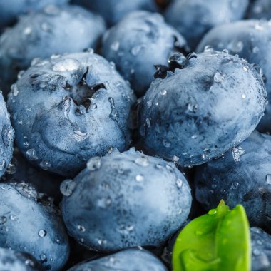 Olgun tatlı yaban mersinine su damlası. Metnin için fotokopi alanı olan taze yabanmersini arkaplanı. Vejetaryen ve vejetaryen kavramı. Yaban mersinli böğürtlenlerin makro dokusu. Yaban mersinli dokular kapanıyor.