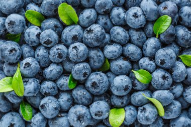 Olgun tatlı yaban mersinine su damlası. Metnin için fotokopi alanı olan taze yabanmersini arkaplanı. Vejetaryen ve vejetaryen kavramı. Yaban mersinli böğürtlenlerin makro dokusu. Yaban mersinli dokular kapanıyor.