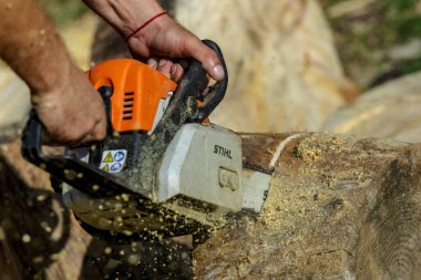 Ukrayna Kiev Eylül 01, 2023 Kiev 'de elektrikli testere. Stihl, Alman elektrikli testere ve diğer el teçhizatı üreticisi.