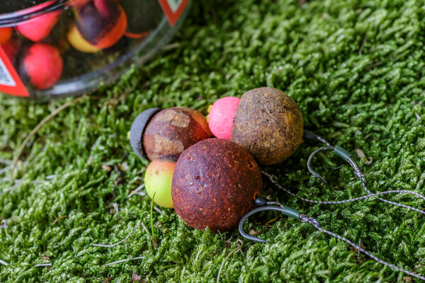 Carpfishing session at the Lake.Carp fishing hooks.Carp fishing rig.Round boilies used as bait for carp fishing.