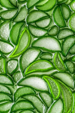 Aloe Vera yakın plan. aloe vera dilim üst görünüm dokusu arka plan. Aloevera bitkisi, doğal organik yenilenme kozmetikleri, alternatif ilaçlar.