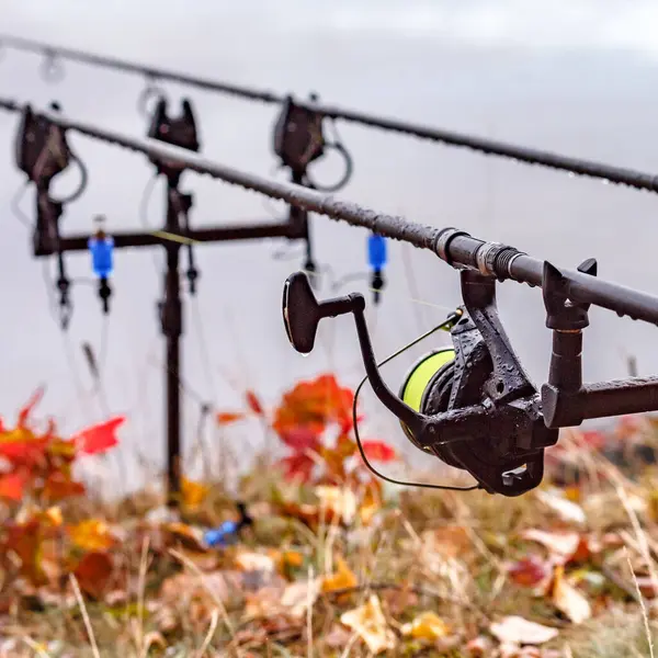 stock image Carpfishing session at the Lake.Carp fishing rods standing on special tripods. Fishing in rainy weather, rain.Fishing adventures, carp fishing.