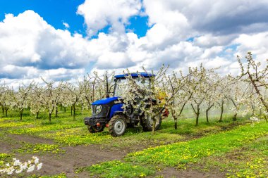 Elma ağacı yazın traktör ve tarım makineleri püskürtüyor. İlkbaharda kırsal alanda çiçek açan ağaçlar derin mavi gökyüzü ile kaplı. Hastalıklara ve böceklere karşı korunmak için dua eden bahçeler..