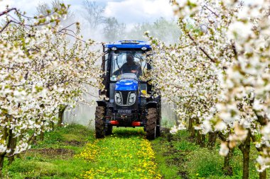 Elma ağacı yazın traktör ve tarım makineleri püskürtüyor. İlkbaharda kırsal alanda çiçek açan ağaçlar derin mavi gökyüzü ile kaplı. Hastalıklara ve böceklere karşı korunmak için dua eden bahçeler..