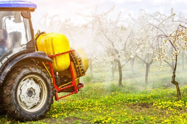 Elma ağacı yazın traktör ve tarım makineleri püskürtüyor. İlkbaharda kırsal alanda çiçek açan ağaçlar derin mavi gökyüzü ile kaplı. Hastalıklara ve böceklere karşı korunmak için dua eden bahçeler..