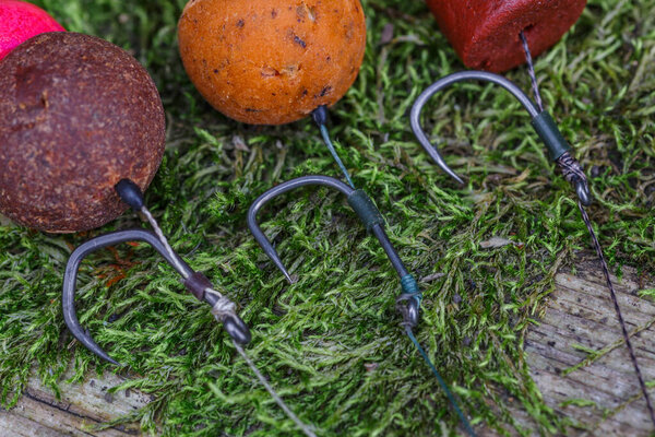 Carp fishing chod rig.The Source Boilies with fishing hook. Fishing rig for carps,Carp boilies, corn, tiger nuts and hemp.Carp fishing food boilies.