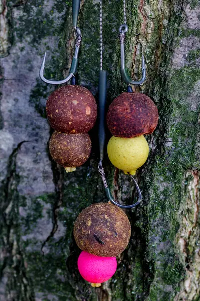 Stock image Carpfishing session at the Lake.Carp fishing hooks.Carp fishing rig.The Boilies with fishing hook.