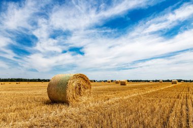 Sarı Round Straw Bale arka planına yakın çekim. Mavi gökyüzü olan arazi manzarası. Buğday tarlasından hasat üstüne hasat. Saman balyaları. Haystack çiftliği.