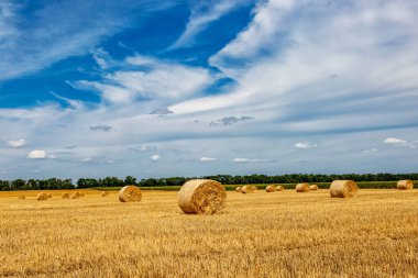 Sarı Round Straw Bale arka planına yakın çekim. Mavi gökyüzü olan arazi manzarası. Buğday tarlasından hasat üstüne hasat. Saman balyaları. Haystack çiftliği.