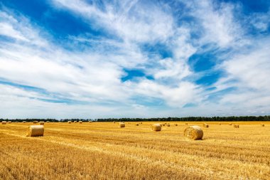 Sarı Round Straw Bale arka planına yakın çekim. Mavi gökyüzü olan arazi manzarası. Buğday tarlasından hasat üstüne hasat. Saman balyaları. Haystack çiftliği.