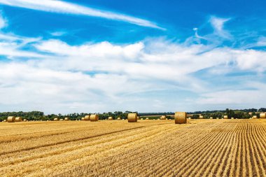 Sarı Round Straw Bale arka planına yakın çekim. Mavi gökyüzü olan arazi manzarası. Buğday tarlasından hasat üstüne hasat. Saman balyaları. Haystack çiftliği.