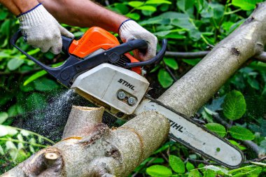 Ukrayna Kiev 24 Temmuz 2024 Kiev. Kiev 'de elektrikli testere. Stihl, Alman elektrikli testere ve diğer el teçhizatı üreticisi.