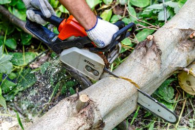 Ukrayna Kiev 24 Temmuz 2024 Kiev. Kiev 'de elektrikli testere. Stihl, Alman elektrikli testere ve diğer el teçhizatı üreticisi.