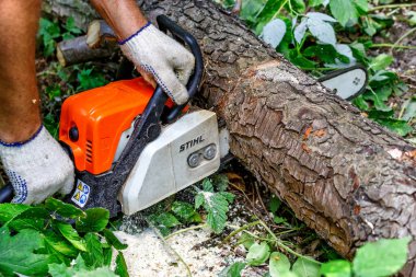 Ukrayna Kiev 24 Temmuz 2024 Kiev. Kiev 'de elektrikli testere. Stihl, Alman elektrikli testere ve diğer el teçhizatı üreticisi.