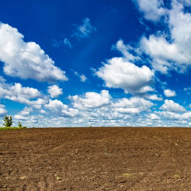 Kırsal alanda sürülmüş tarlalar. Üzerinde yaz zamanı mısır gevreği yetiştirilen mavi gökyüzü tarlaları.
