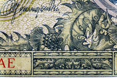 Eski kağıt banknotların eski unsurları. Bonistikler. Polonya banknotları - 5 Polonya zlotisi..