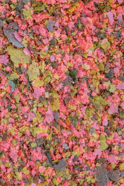 Akvaryum balığı yemi yakın plan. Akvaryum balığı için renkli pullar şeklinde yiyecek.