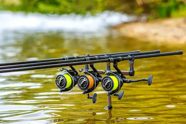 Gölde balık avı. Sazan oltaları özel tripodların üzerinde duruyor. Şafak vakti göle bakan manzaralar..