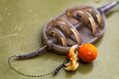 Lakers 'ta sazan balıkçılığı. Mısır ve oparod oltaya geldi. Balık avlamak için balık yemi. Sazan balığı avlamak için sazan balığı yemi olarak balık tutmak için sazan balığı yemi olarak kuru yem..