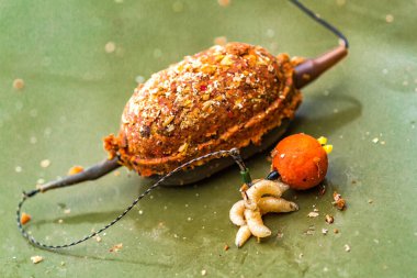 Lakers 'ta sazan balıkçılığı. Mısır ve oparod oltaya geldi. Balık avlamak için balık yemi. Sazan balığı avlamak için sazan balığı yemi olarak balık tutmak için sazan balığı yemi olarak kuru yem..