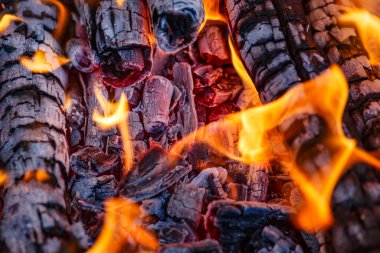 Kırmızı kömür ve ateş alevi. Yakın plan ateş, kömür ve közler. Yanan odunların dokusu. 