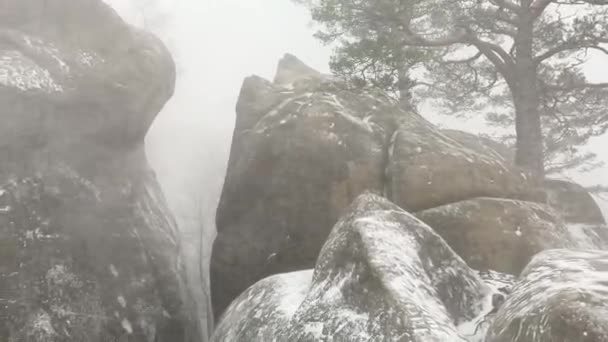 冬天在乌克兰喀尔巴阡山脉的Bubnyshche 巨大的巨石阵耸立在森林之上 带着熊头的独特幻象 在风暴中出现了 — 图库视频影像