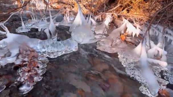 欧洲阿尔卑斯山中清澈的山水在清晨的霜冻中结冰成了艺术的冰柱 奔流的速度在音乐上低语着 — 图库视频影像