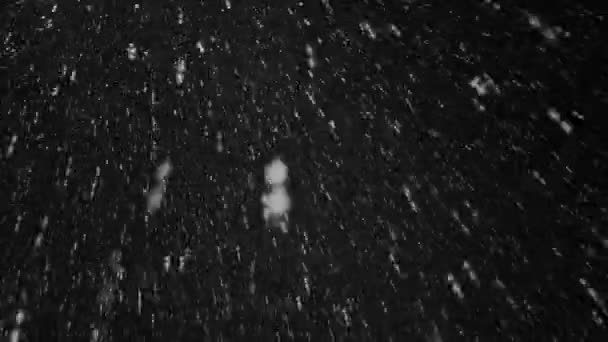 Opady Śniegu Górach Dzika Przyroda Mroczną Zimową Noc Przy Świetle — Wideo stockowe