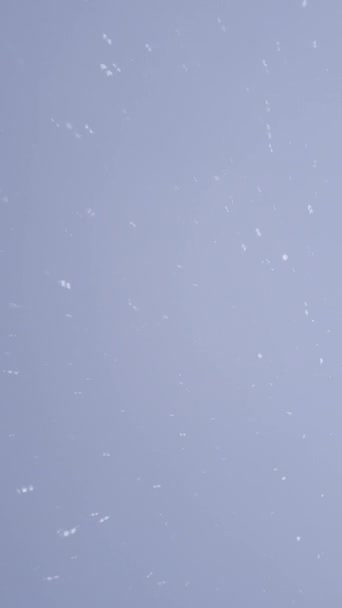 Lumisade Vuorilla Villi Luonto Pimeänä Talviyönä Valossa Lyhty Lumihiutaleet Pyörivät — kuvapankkivideo