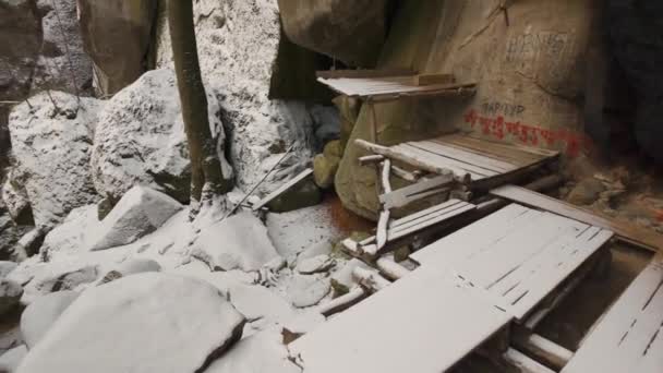 Yard Sleeping Chopped Firewood Carpathians Uniform Ukrainian Army Pixel Lies — Stock Video
