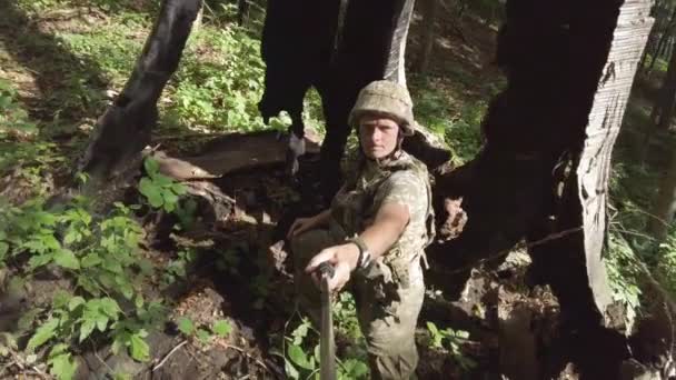 우크라이나 번개에 나무의 없을만큼 거대한 잔류물을 탐구합니다 카르파티안의 꼭대기에 — 비디오