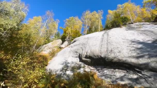 Tepelerinde Kırmızı Kayın Sarı Huş Ağaçlarından Oluşan Sonbahar Desenli Dağlık — Stok video