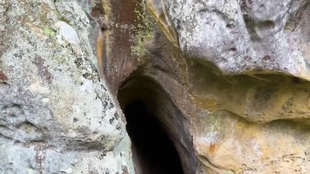 Ukrayna Karpatlar Sokilsky Sırtı Kayalık Taşlarıyla Ünlüdür Ama Aynı Zamanda — Stok video