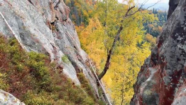 在喀尔巴阡山脉秋天的森林包围的古老的Sokil岩石上 升起了两面乌克兰国旗 一面是蓝色的国旗 一面是红色的国旗 一面是叛军Upa的旗帜 — 图库视频影像
