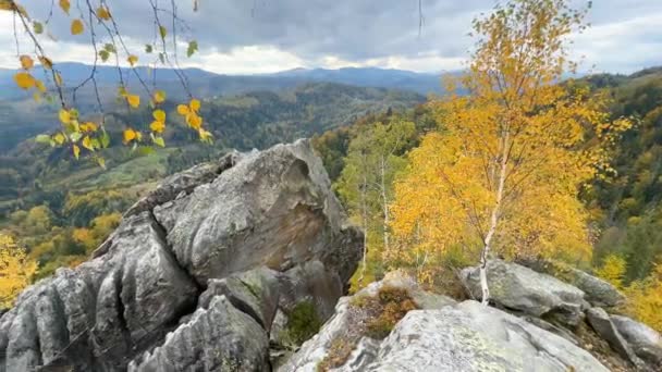 Karpatlar Daki Sonbahar Ormanlarıyla Çevrili Eski Sokil Kayalıklarının Üzerinde Iki — Stok video