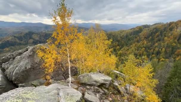 Над Древніми Сокільськими Скелями Оточеними Осіннім Лісом Карпатах Підняті Два — стокове відео