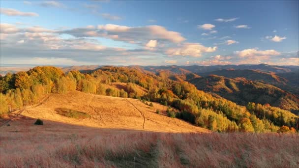ウクライナ カルパチア人 ソチルスキーは 有名なソチルスキー岩が配置されている美しい秋と黄色の鳥とブナの森の上に雲の時間を取り除きます — ストック動画