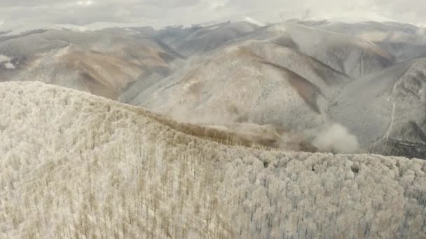 Ukrayna Dağlık Karpat Bölgesinin Tepelerinde Uçuyor Tepelerinde Kar Kayın Ağaçları — Stok video