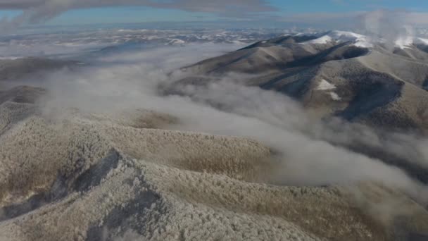 乌克兰无人驾驶飞机飞越喀尔巴阡山地区的山峰 山顶上挂着雪白的山毛榉树 山谷笼罩在雾中 — 图库视频影像