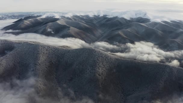 Drone Ucraniano Vuela Sobre Los Picos Región Montañosa Los Cárpatos — Vídeo de stock