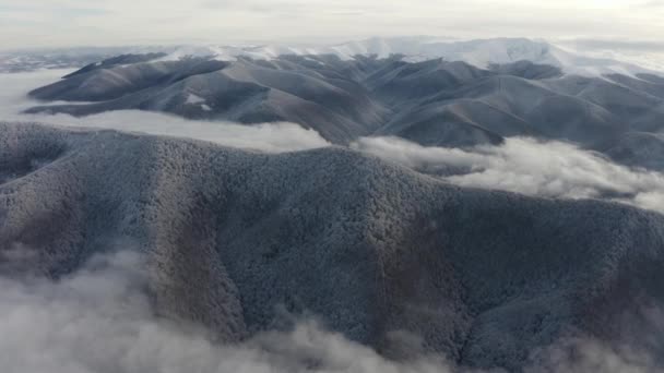 Drone Ucraniano Vuela Sobre Los Picos Región Montañosa Los Cárpatos — Vídeos de Stock