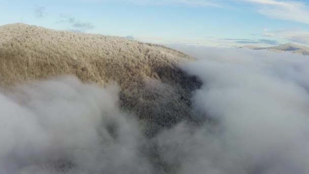 Drone Ucraniano Voa Sobre Picos Região Montanhosa Dos Cárpatos Com — Vídeo de Stock