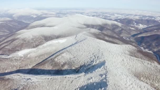 Ukrán Drón Repül Csúcsok Hegyvidéki Kárpátok Téli Minta Havas Bükkfák — Stock videók
