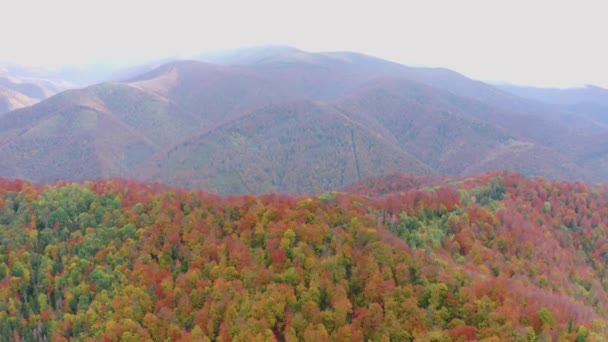 Ένα Drone Πετά Πάνω Από Τις Κορυφές Μιας Ορεινής Περιοχής — Αρχείο Βίντεο
