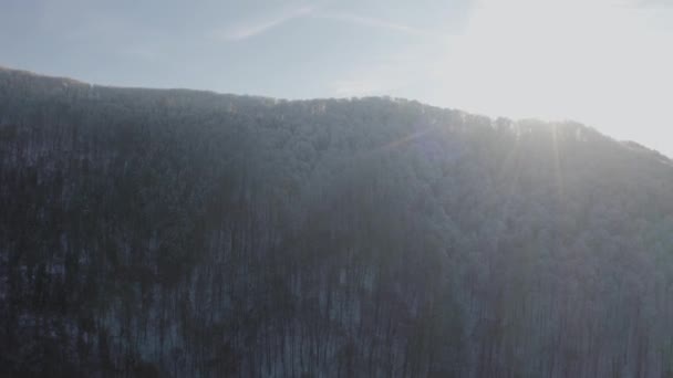 カルパチア トランスカルパシア ウクライナの日の出の激しい霜の後の雲からの水分は 山の霜で凝縮され 谷では それは顕著に暖かかった — ストック動画