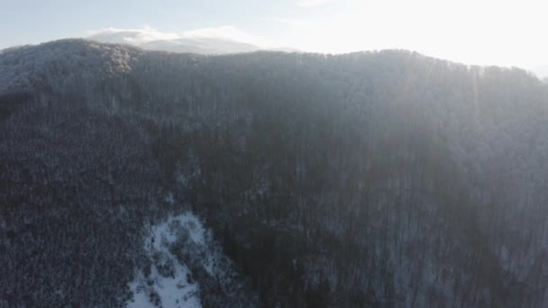 カルパチア トランスカルパシア ウクライナの日の出の激しい霜の後の雲からの水分は 山の霜で凝縮され 谷では それは顕著に暖かかった — ストック動画